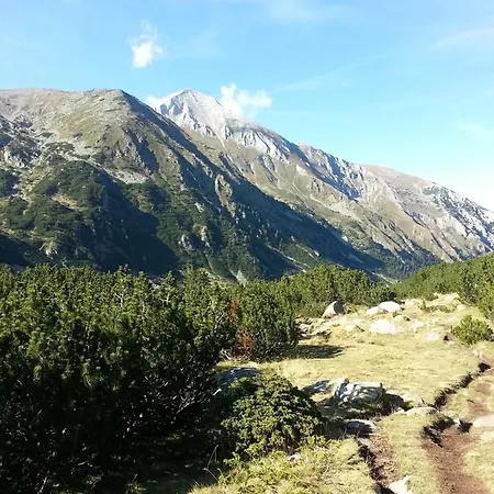 Lift In Daire Bansko